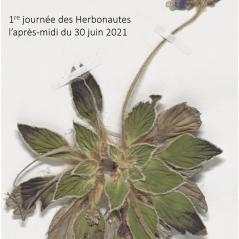 Image Journée des herbonautes 2021